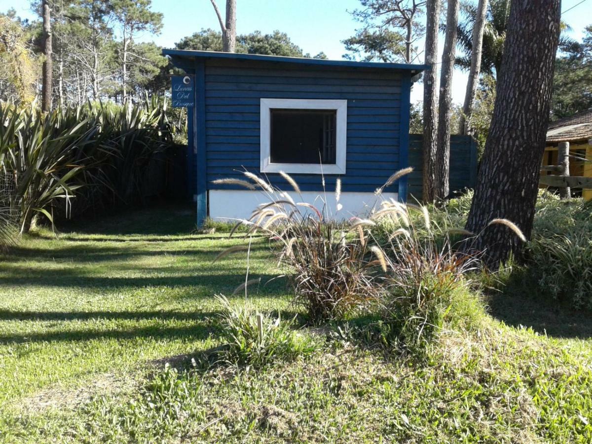 Lunas Del Bosque Cabana Y Apartamento En Suite La Paloma Exteriör bild